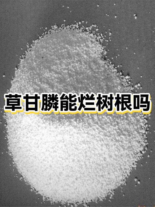 什么药水能让树根腐烂