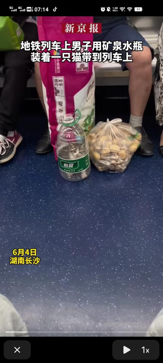 乘坐地铁能带猫吗