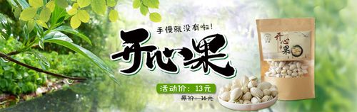 开心果怎么下载不了了