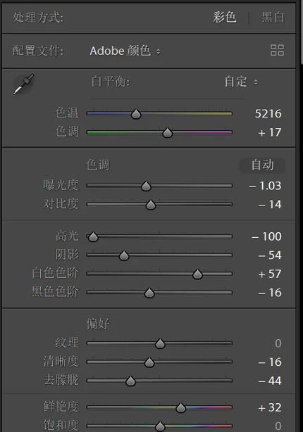 5d4人像参数设置详细
