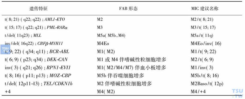 MIC医学名词解释