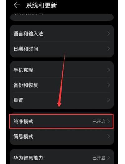 华为手机演示模式在哪里打开截图3