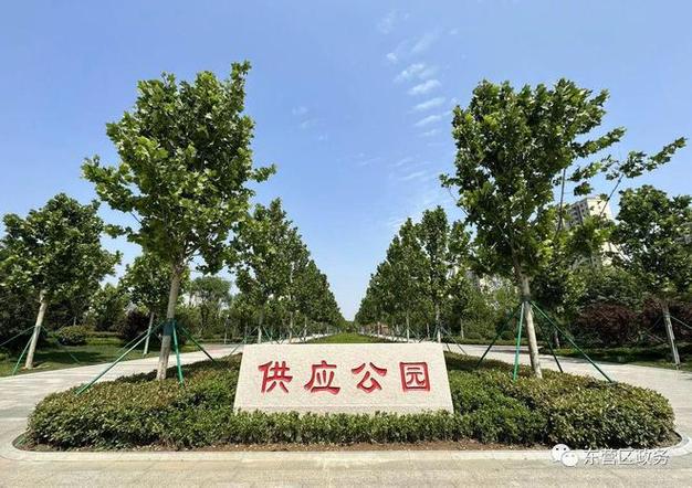 花特殊符号怎么打出来