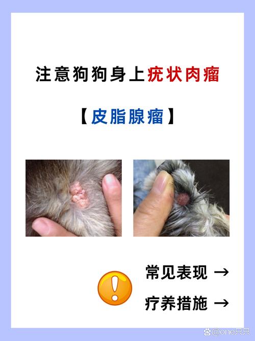 狗腿上长了个肉瘤凸起