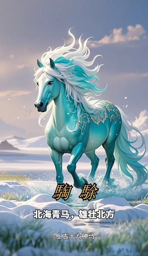 神马搜索官网