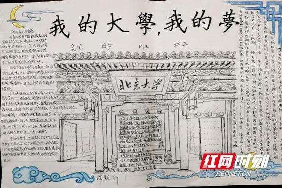 我的大学主要内容