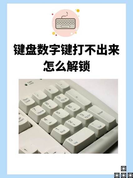 键盘上面的数字键打不出来怎么办