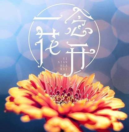 一念花开一念花落出自哪里