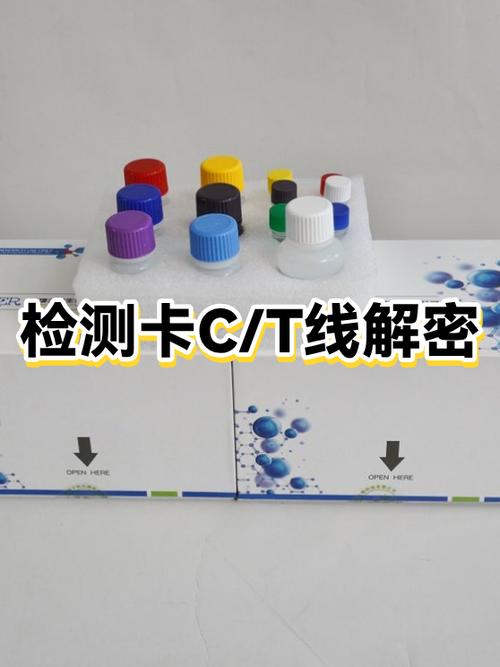 手机一会显示有卡一会显示没卡