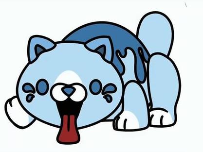 糖果猫
