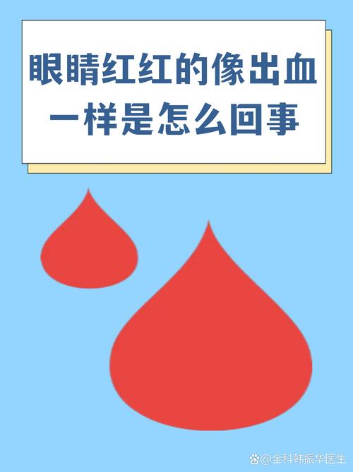 猫眼睛流红色分泌物像血