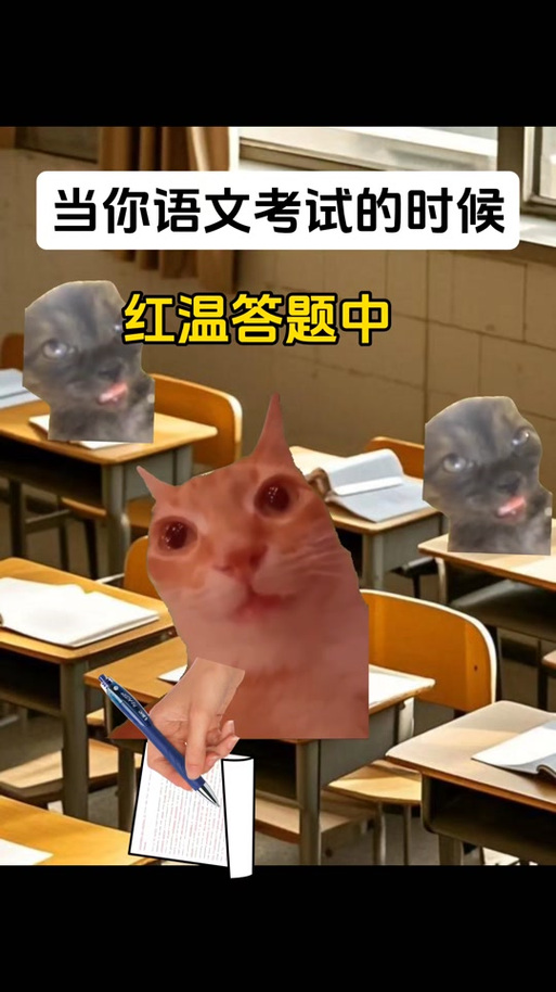 猫meme红温表情包