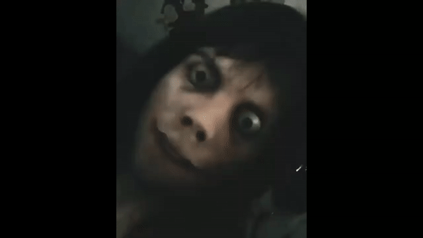 Momo视频