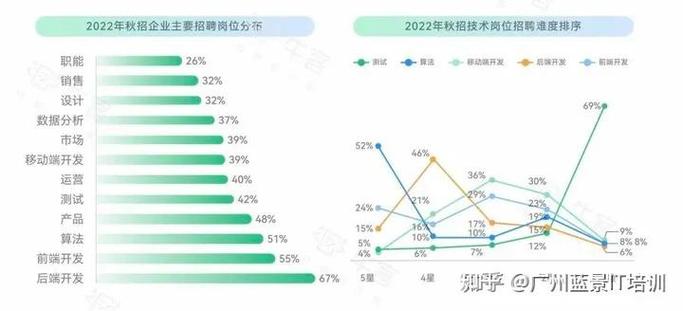 女生it行业做什么工作