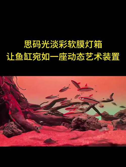 DIY鱼缸灯箱截图1