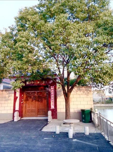 大门左边最旺的6种树 大门左边最旺的6种树