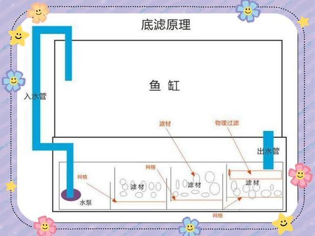 上滤鱼缸的最佳过滤方法