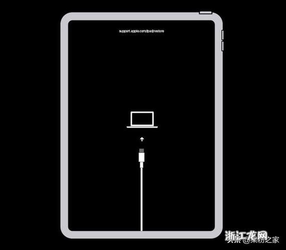 iPad dfu模式