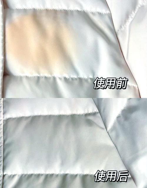 羽绒服顽固污渍怎么去除截图2
