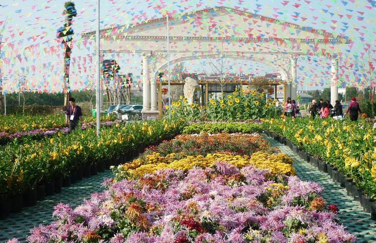 下载花草乐园