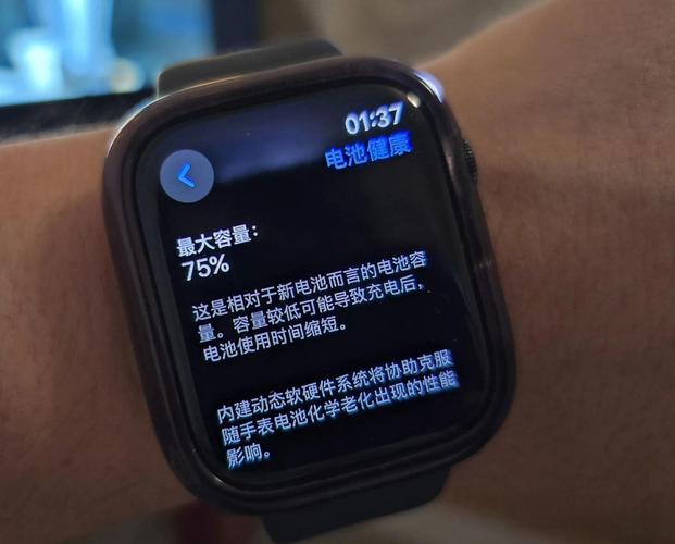 苹果手表电池怎么看寿命