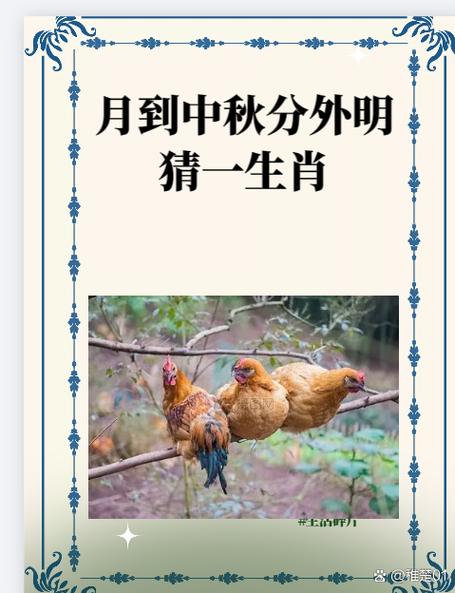 四二独自暗中明猜生肖