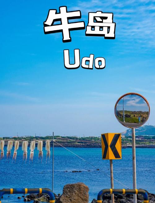 济州岛牛岛最火的一句