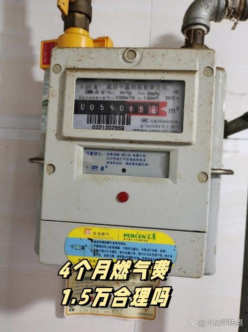成都燃气费查询明细截图3