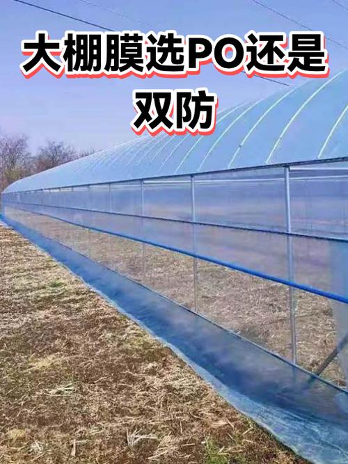 双防膜和po膜区别