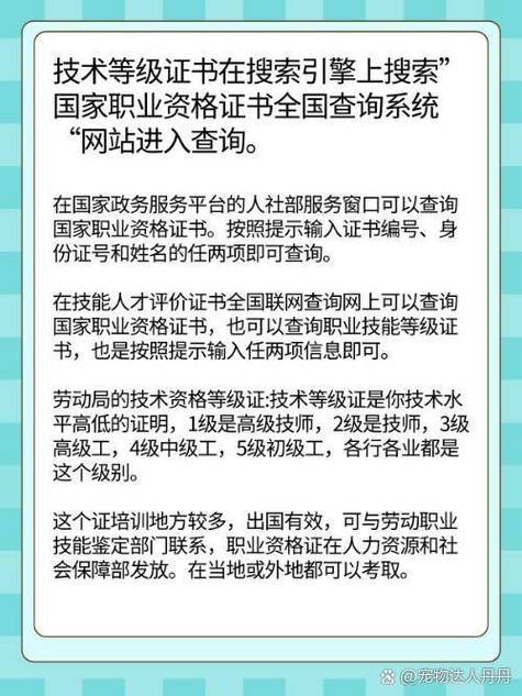 国家资格职业证书查询官网截图3