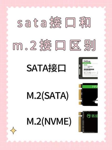 m2固态金手指2个和三个
