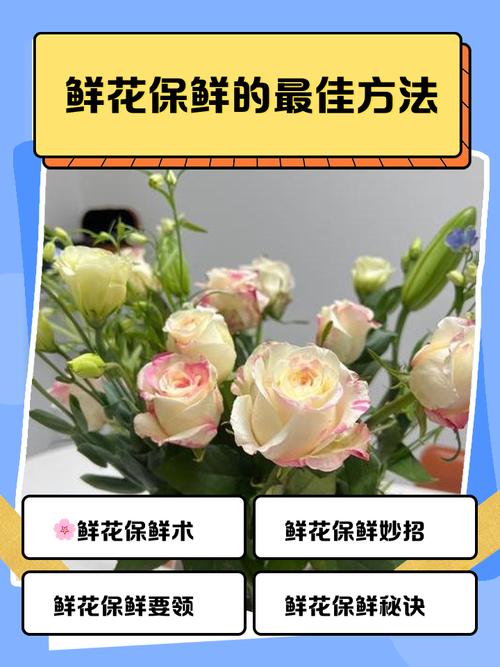 唯品花怎么解冻