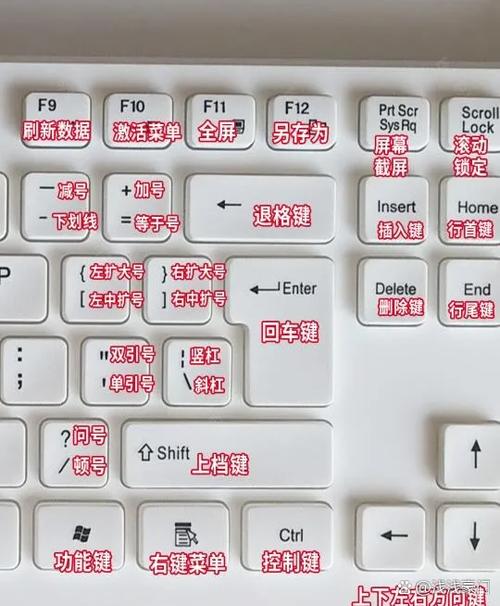 电脑键盘所有按键失灵截图2