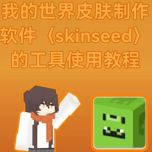 skinseed橙色版下载