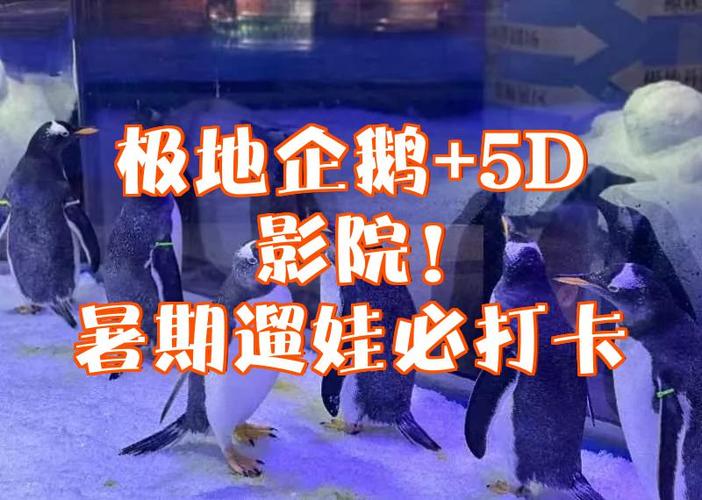 企鹅影院能在手机上看吗
