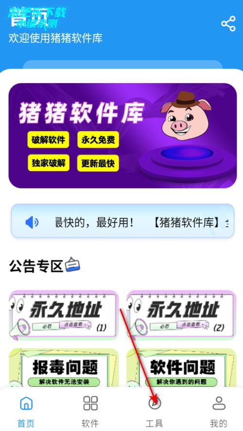猪猪网络