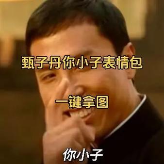 甄子丹你小子表情包