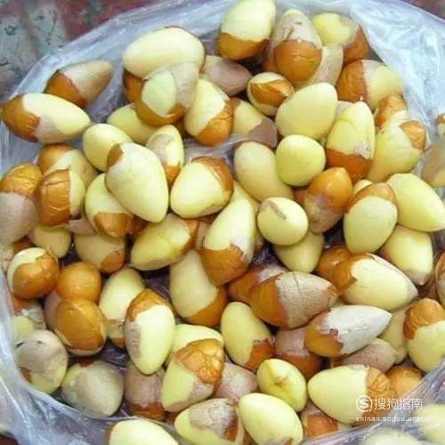 白果摘回来怎么处理视频