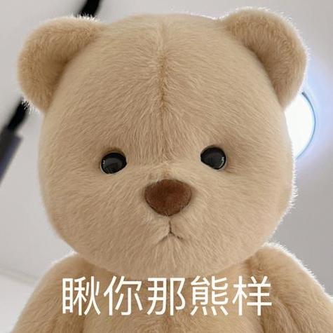 qq可爱小熊表情包