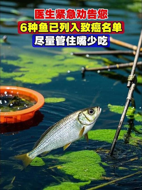 哪六种鱼少买尽量不吃截图2