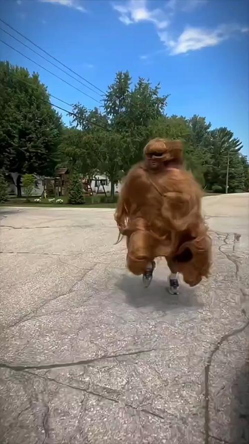 搞笑视频爆笑视频