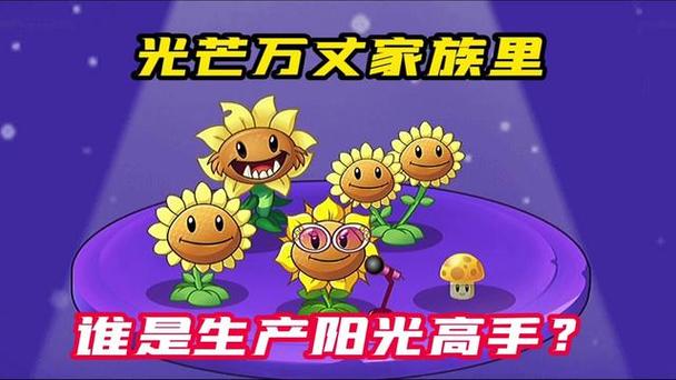 原始向日葵和向日葵 原始向日葵和向日葵