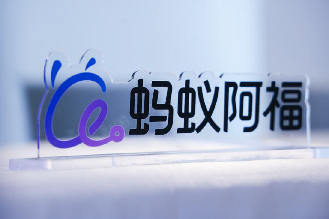 家里出现小黑蚂蚁怎么根除