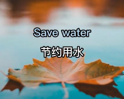 seek双语例句
