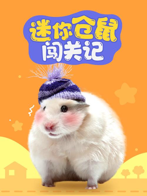 迷你仓鼠闯关记