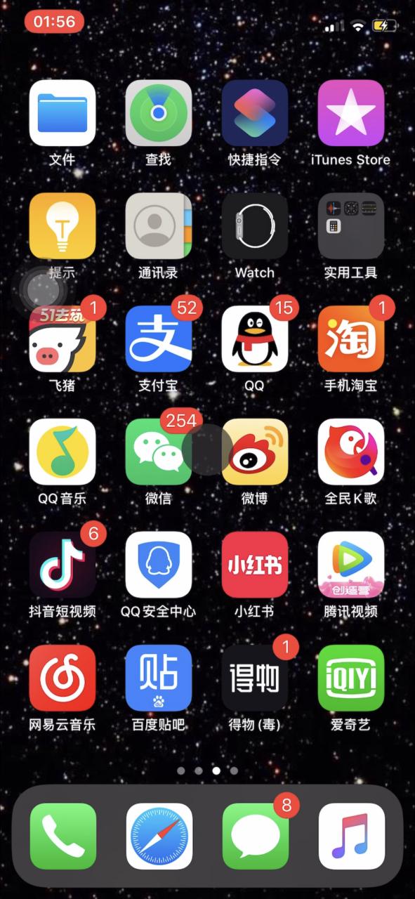 苹果手机中间有个黑圈