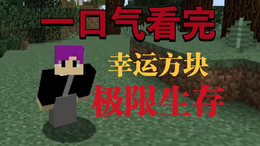 一口气看完幸运方块生存