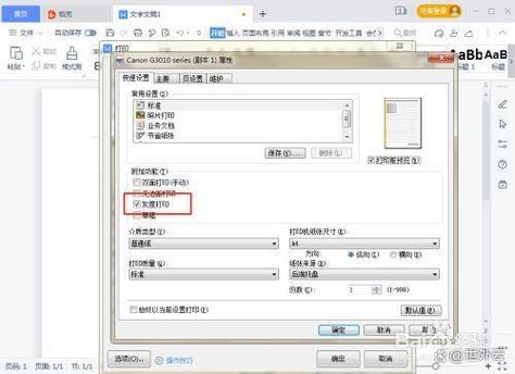 打印机黑白打印设置步骤截图3