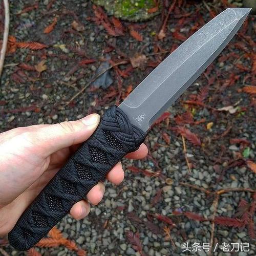 穿越刀乱成为暗堕短刀截图3