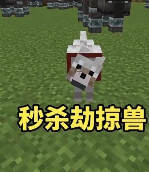 我的世界劫掠是啥